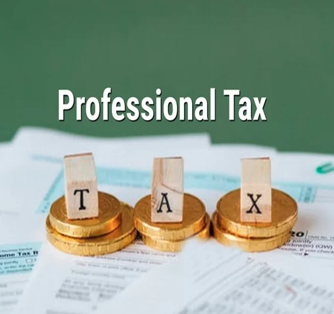 Professional Taxation Services in Malaysia