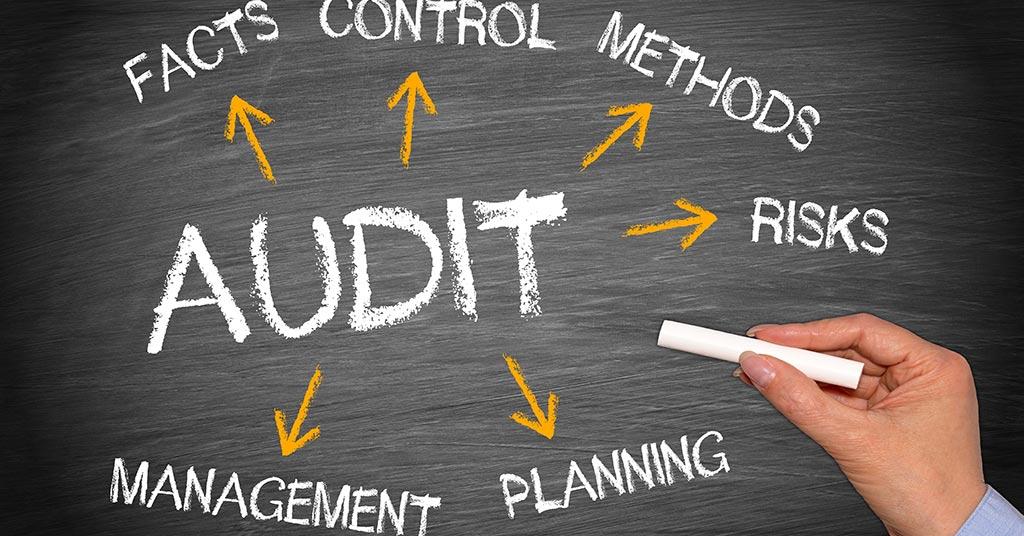 Professional Audit and Advisory Services in Malaysia